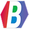 Bridge Training logo